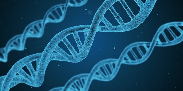 dna aktiveerimise sümptomid